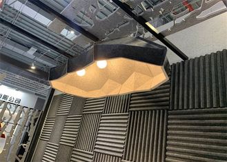 Μοναδικό ελαφρύ ειδικό αισθητό η Pet Lampshade κρεμαστών κοσμημάτων τύπων ακουστικό για το σπίτι