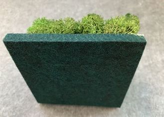 Sound-proofing ελαφρύς εύκολος ακουστικών επιτροπών πράσινων εγκαταστάσεων διακοσμητικός στη σκόνη