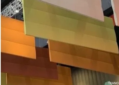 Η πολύχρωμη ένωση αισθάνθηκε ότι το ακουστικό υγιές ωίδιο διαφραγμάτων αποτρέπει